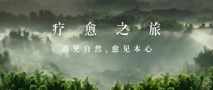 疗愈之旅 | 遇见自然,愈见本心